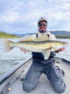 Precioso ejemplar de García Sola