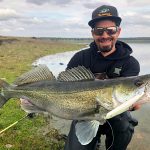 lucioperca sierra brava