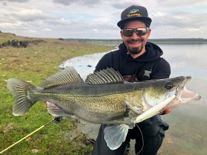 lucioperca sierra brava